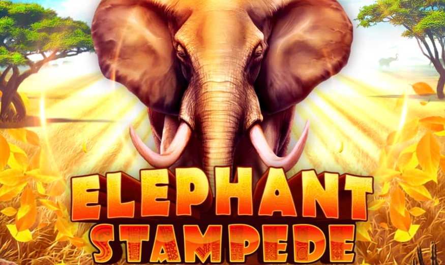 Elephant Stampede slot game